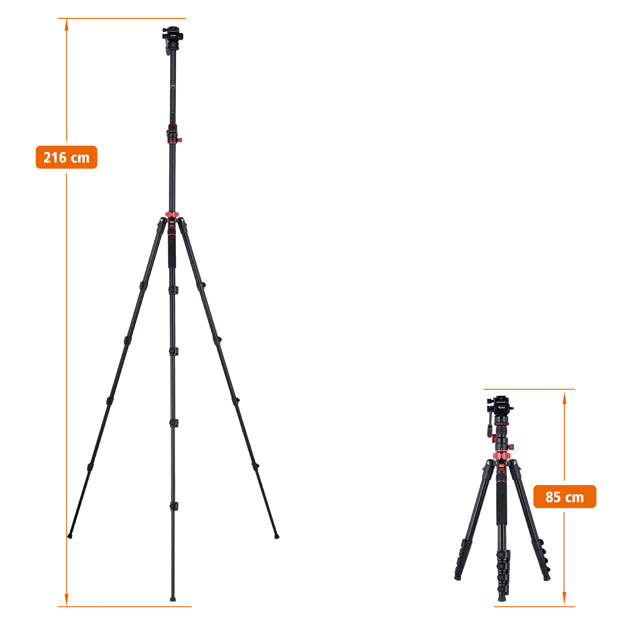 Tripod I Compact Traveler No.2 XL I Video