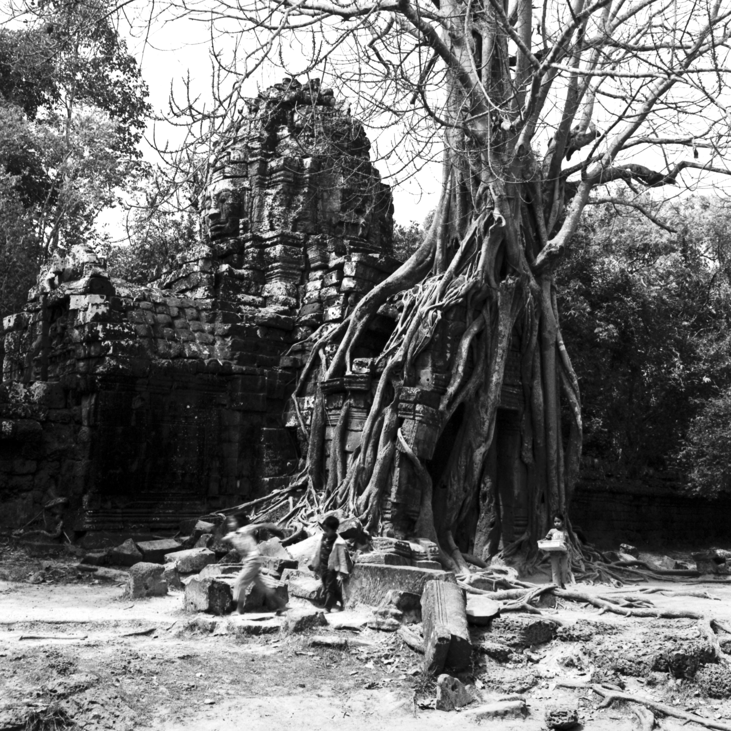 RETRO Black & White Negative Film | 35mm & Roll Film | ISO 80 / 400