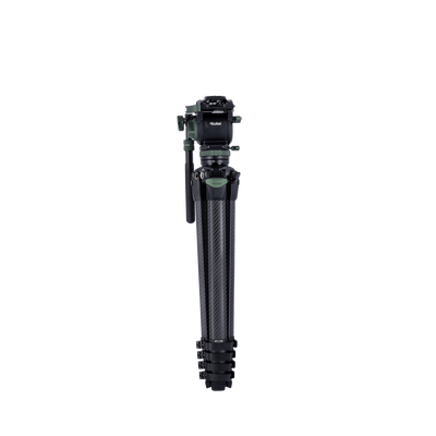 Lion Rock Pro Instinct Video incl. Tripod Head