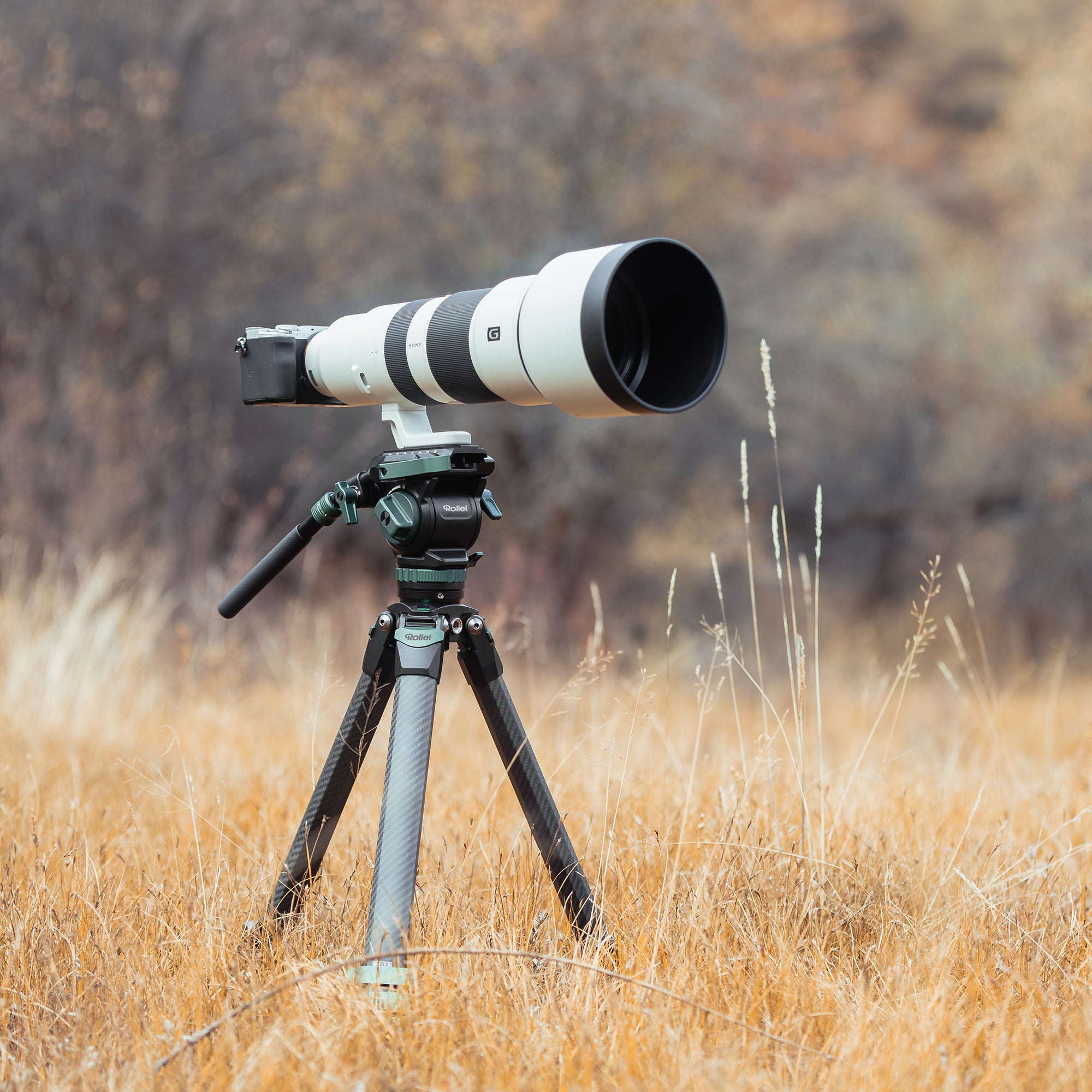 Lion Rock Pro Instinct Video incl. Tripod Head