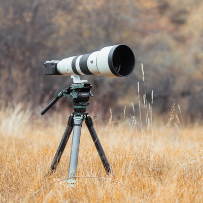 Lion Rock Pro Instinct Video incl. Tripod Head