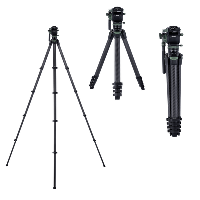 Lion Rock Pro Instinct Video incl. Tripod Head