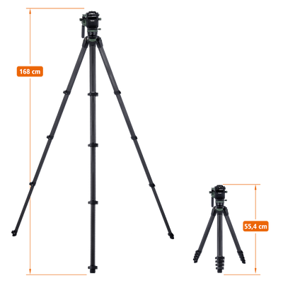 Lion Rock Pro Instinct Video incl. Tripod Head