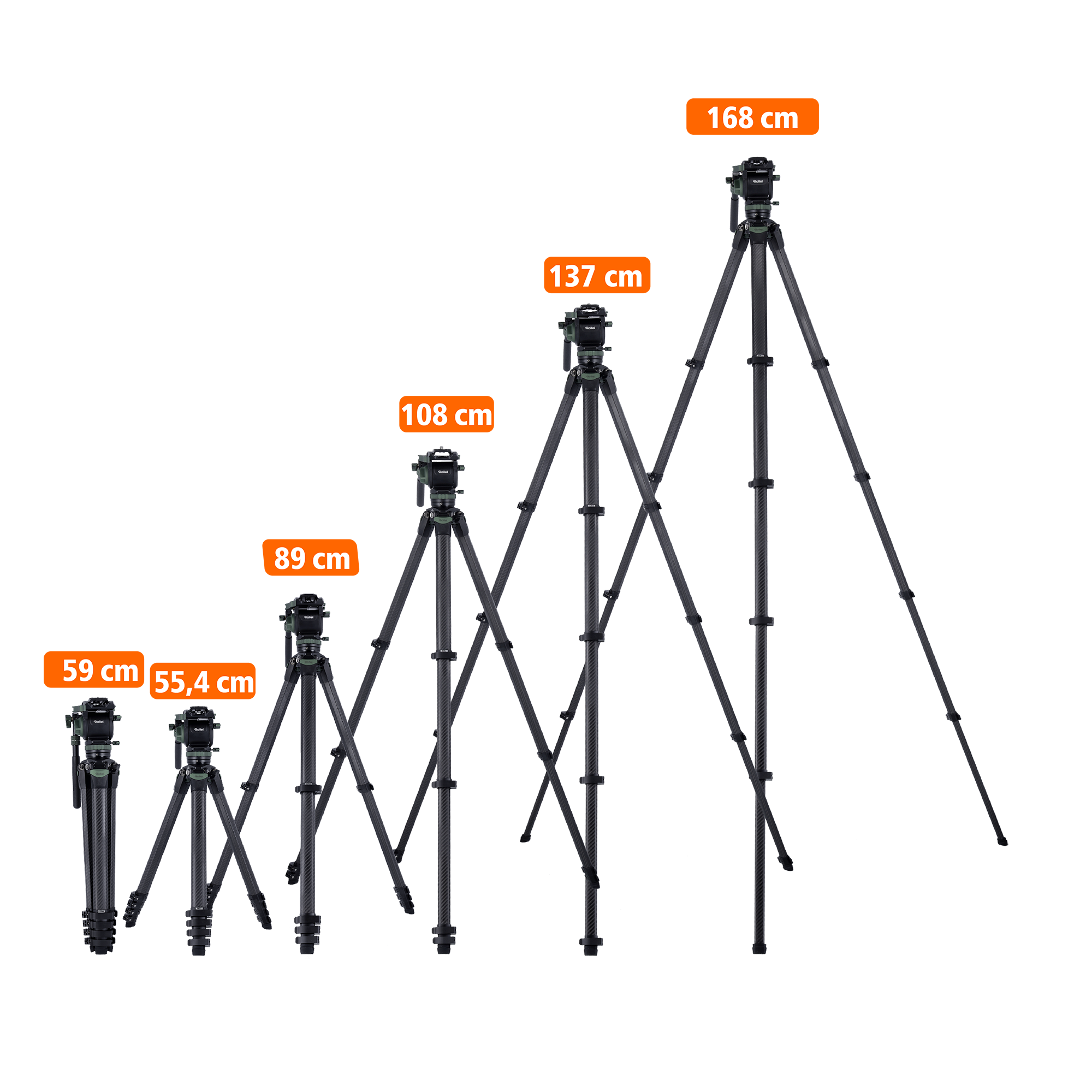 Lion Rock Pro Instinct Video incl. Tripod Head