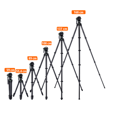 Lion Rock Pro Instinct Video incl. Tripod Head