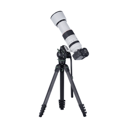Lion Rock Pro Instinct Video incl. Tripod Head