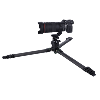 Lion Rock Pro Instinct Video incl. Tripod Head