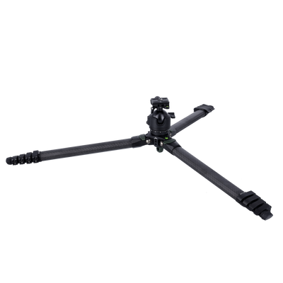 Lion Rock Pro Instinct Video incl. Tripod Head