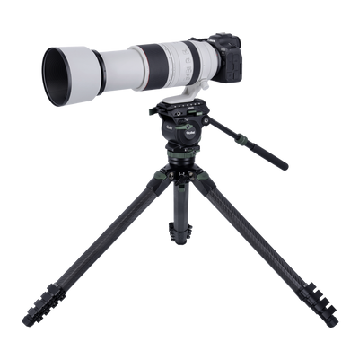 Lion Rock Pro Instinct Video incl. Tripod Head