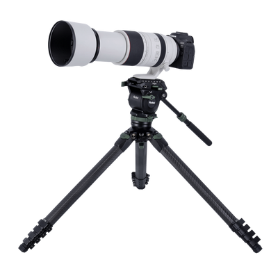 Lion Rock Pro Instinct Video incl. Tripod Head