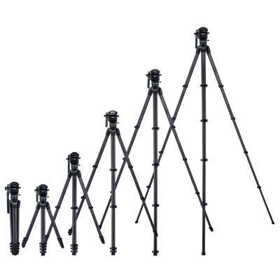 Lion Rock Pro Instinct Video incl. Tripod Head