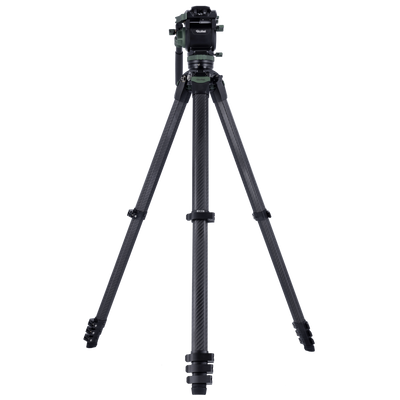 Lion Rock Pro Instinct Video incl. Tripod Head