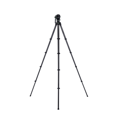 Lion Rock Pro Instinct Video incl. Tripod Head