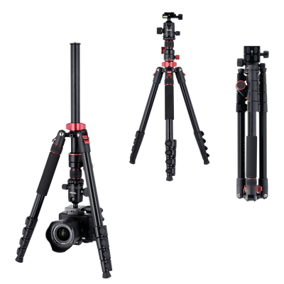 Tripod I Compact Traveler No.2 XL I Photo