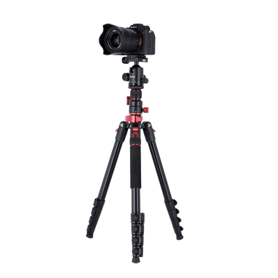 Tripod I Compact Traveler No.2 XL I Photo