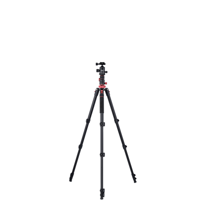 Tripod I Compact Traveler No.2 XL I Photo