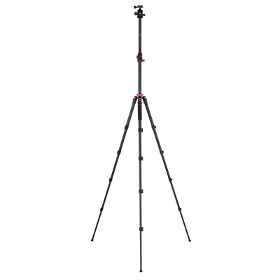 Tripod I Compact Traveler No.2 XL I Photo