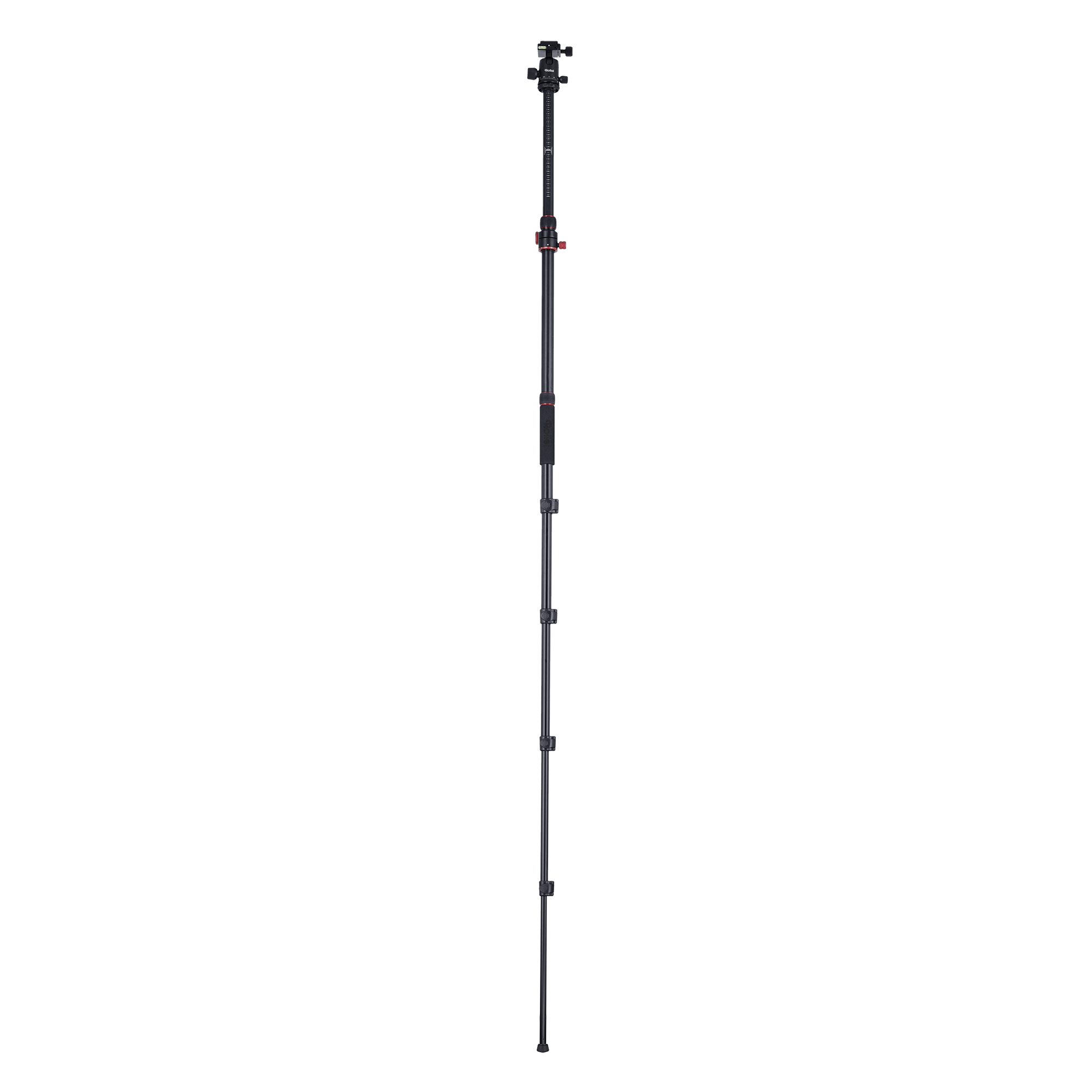 Tripod I Compact Traveler No.2 XL I Photo