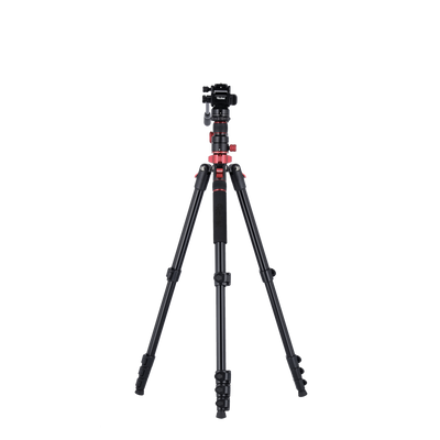 Tripod I Compact Traveler No.2 XL I Video