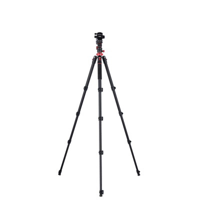 Tripod I Compact Traveler No.2 XL I Video