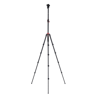 Tripod I Compact Traveler No.2 XL I Video