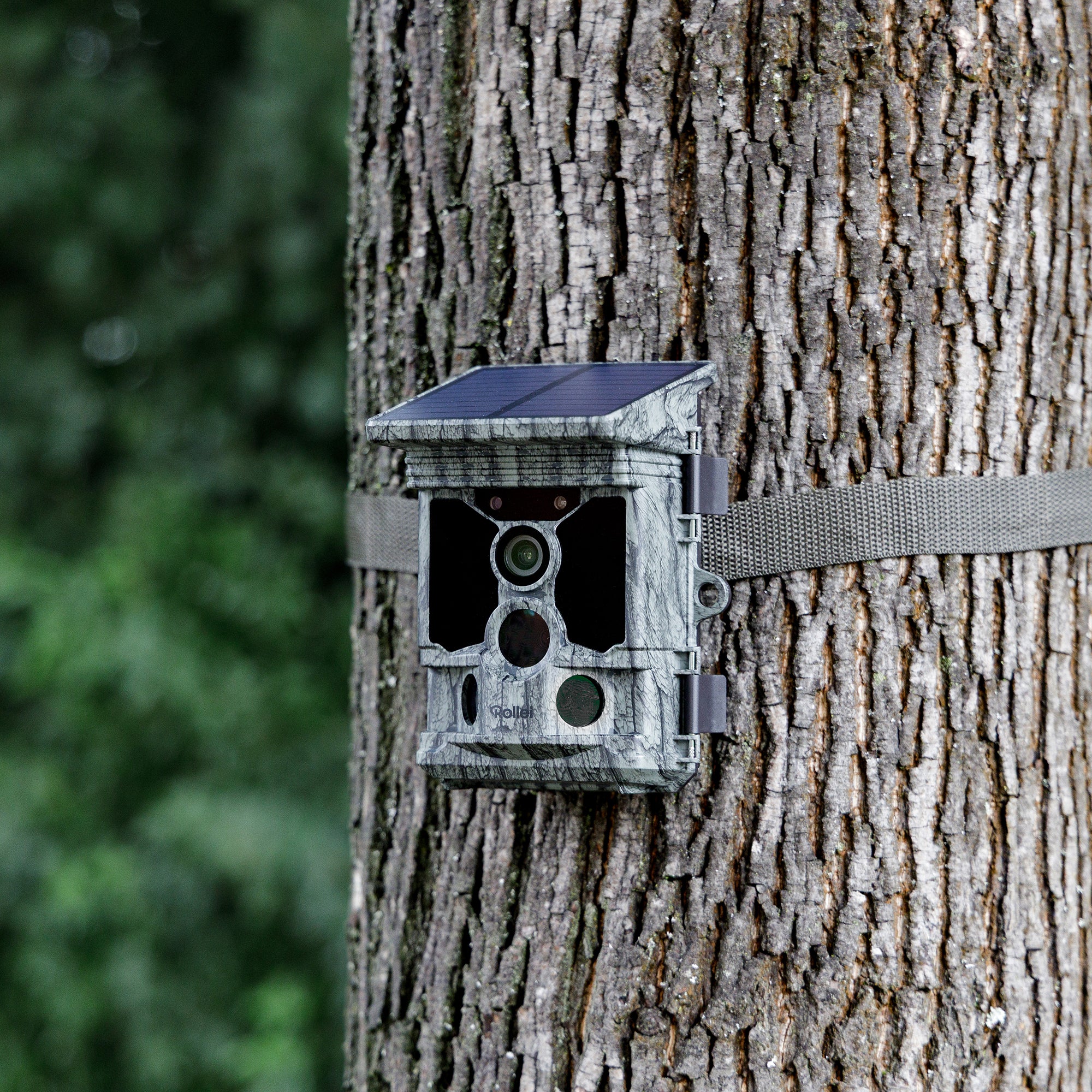 Trail Camera 4K WiFi Solar