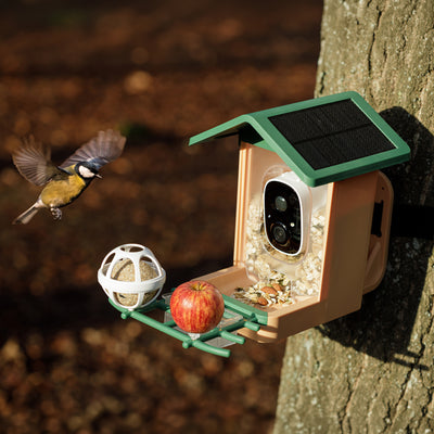 Smart AI Vogelhaus 3K