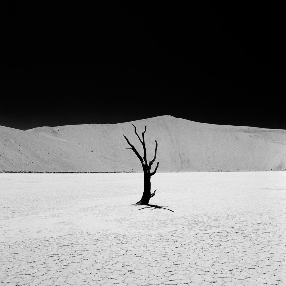 RPX Black and White Negative Film | 35mm & Roll Film | ISO 25 / 100 / 400